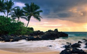 Read more about the article Un turist a fost arestat in Hawaii, dupa ce a postat cateva fotografii. Vezi de ce!