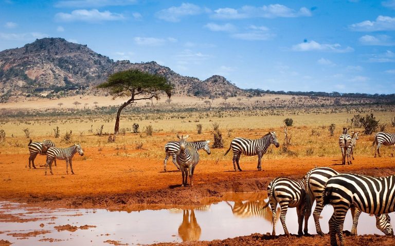 Cheap flights KLM from Lithuania to Kenya, from €392 pp return