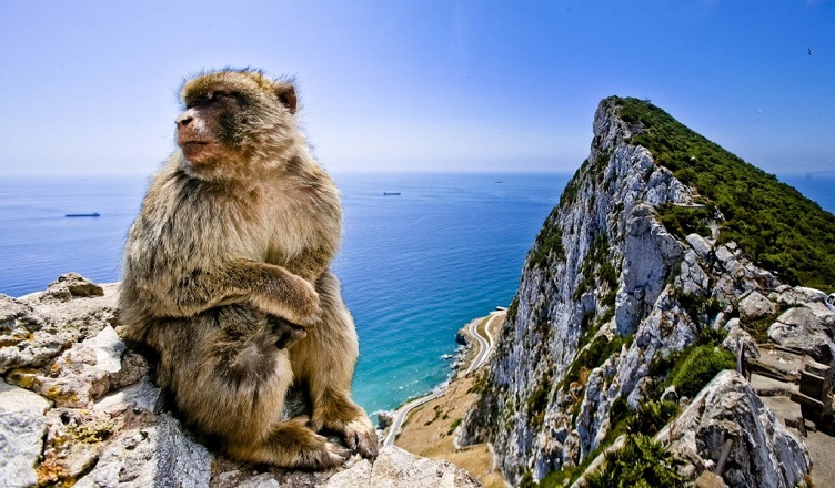 Read more about the article Cheap flights from UK to Gibraltar, from £41 pp return