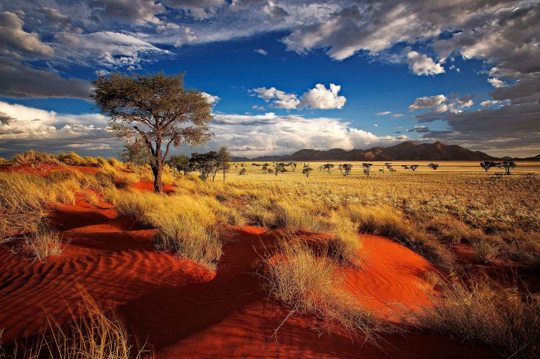 Direct flights from Frankfurt to Namibia, from €409 pp return