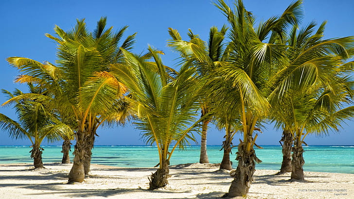You are currently viewing All Inclusive holiday in Dominican Republic, £598 pp (flights & 7-nights stay)