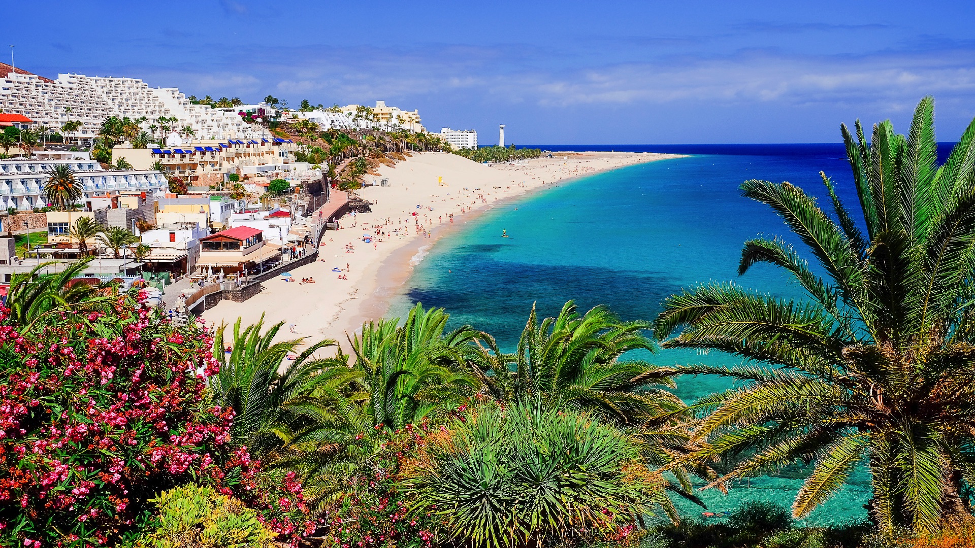 You are currently viewing Vacanta in Fuerteventura, 224 euro/pers (zbor+cazare 7 nopti)