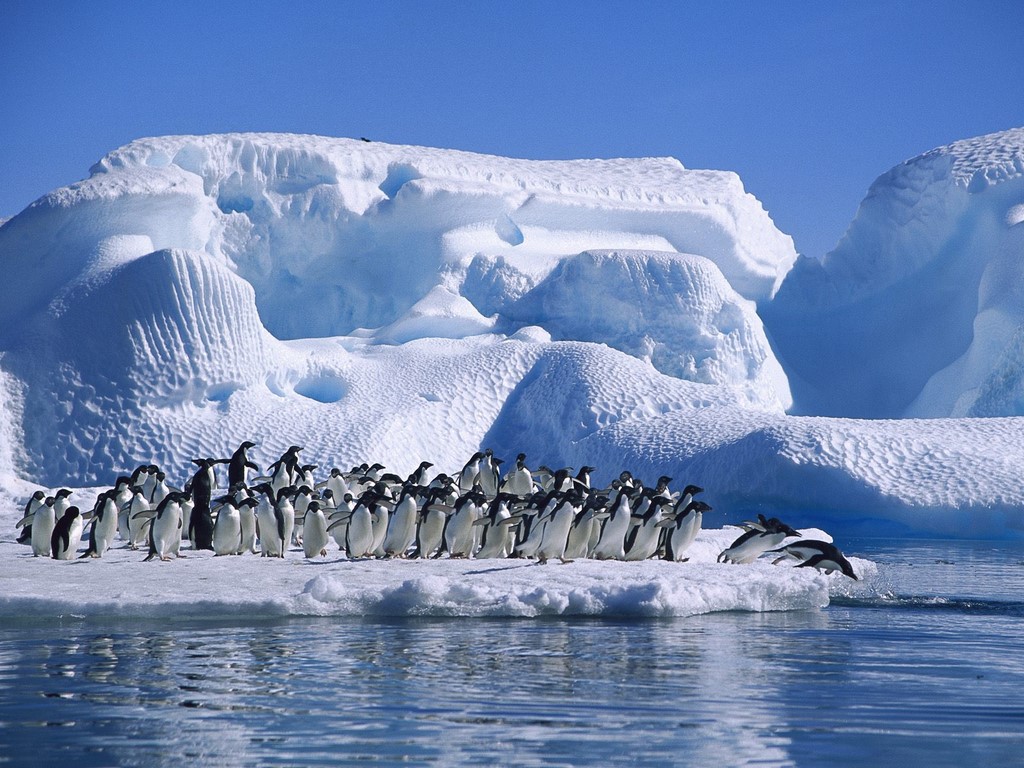 You are currently viewing How to visit Antarctica & how much you need to pay